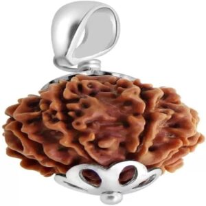 5 mukhi Rudraksha