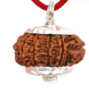 7 Mukhi Rudraksha pendent