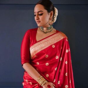 Red litchi silk kubera pattu saree (2) min
